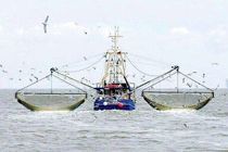 توقیف هشت شناور صید ترال و غیر مجاز در جاسک