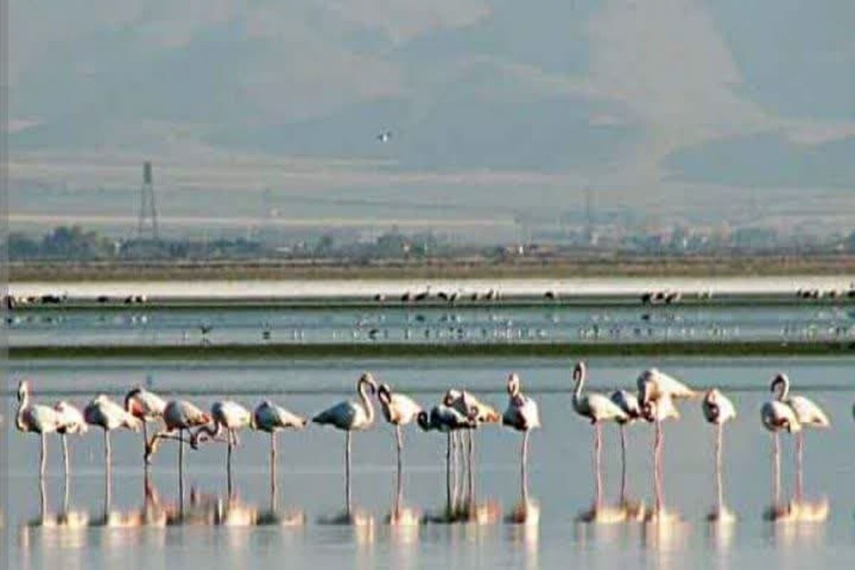 عکس تالاب