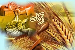 زکات مردم اراک به بیش از ۱۱ میلیارد تومان رسید