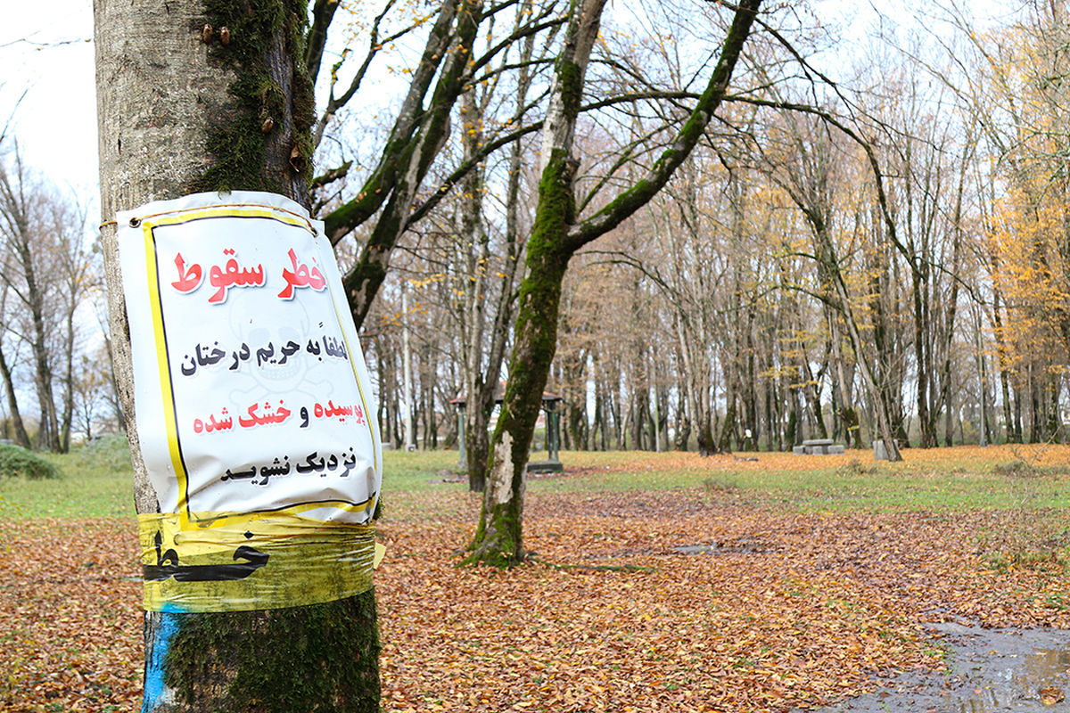 منابع طبیعی نوشهر