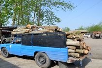 کشف چوب قاچاق در آستانه‌اشرفیه