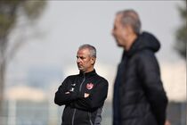 پرپسولیس احتمالا به ترکیه می‌رود