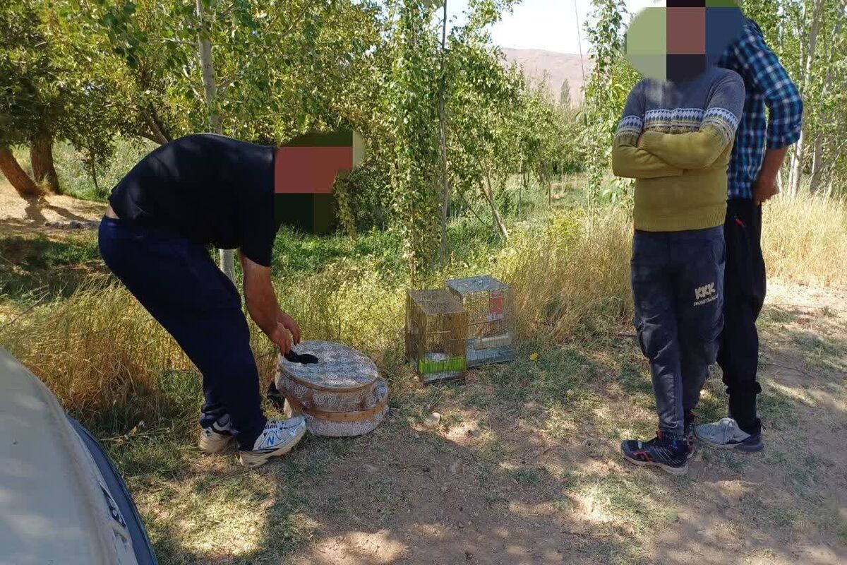 دستگیری