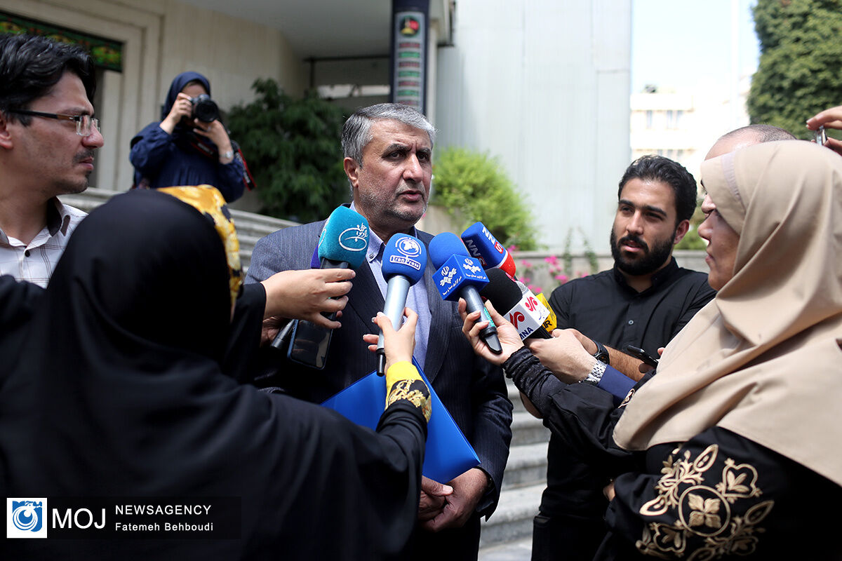 رئیس سازمان انرژی اتمی