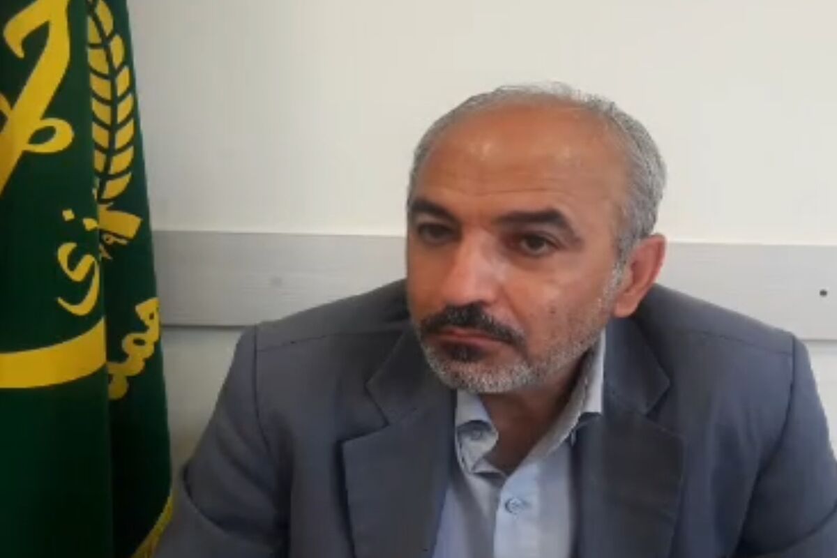 حسین محمدی