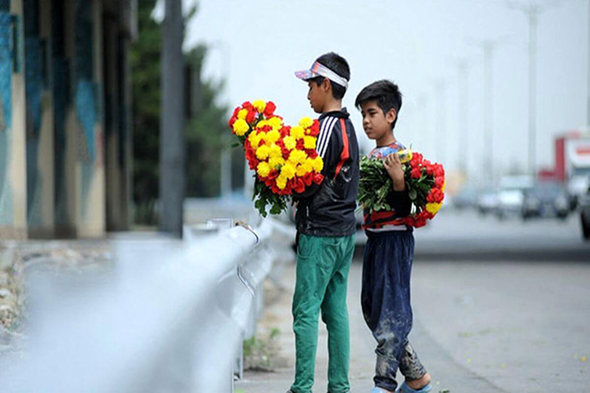 35mxyfzgr6uk2lievo7np49cqa1hbw8jstd