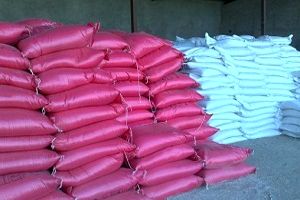 ۵۰ تن کود تقلبی در کلاله کشف شد