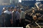 فعالیت کارخانه متخلف چوب در نکا تعلیق شد