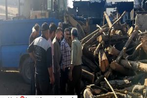 فعالیت کارخانه متخلف چوب در نکا تعلیق شد
