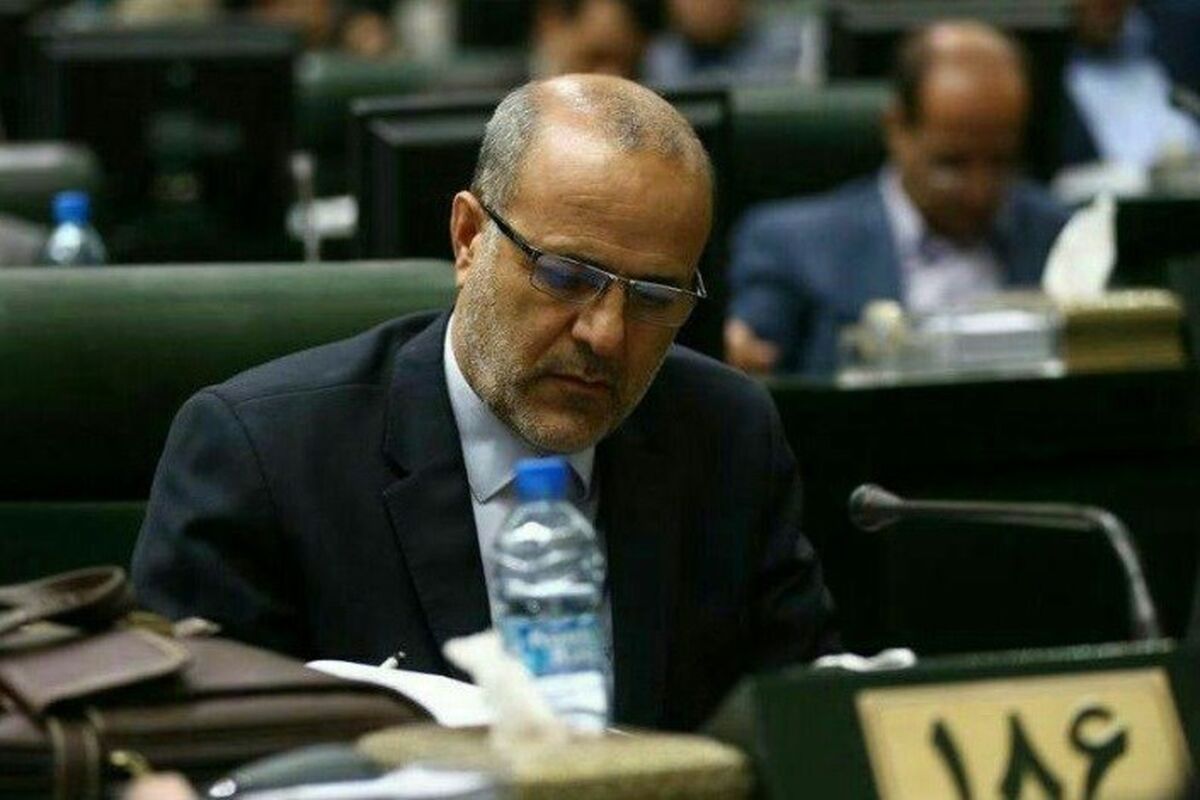 میرحمایت میرزاده