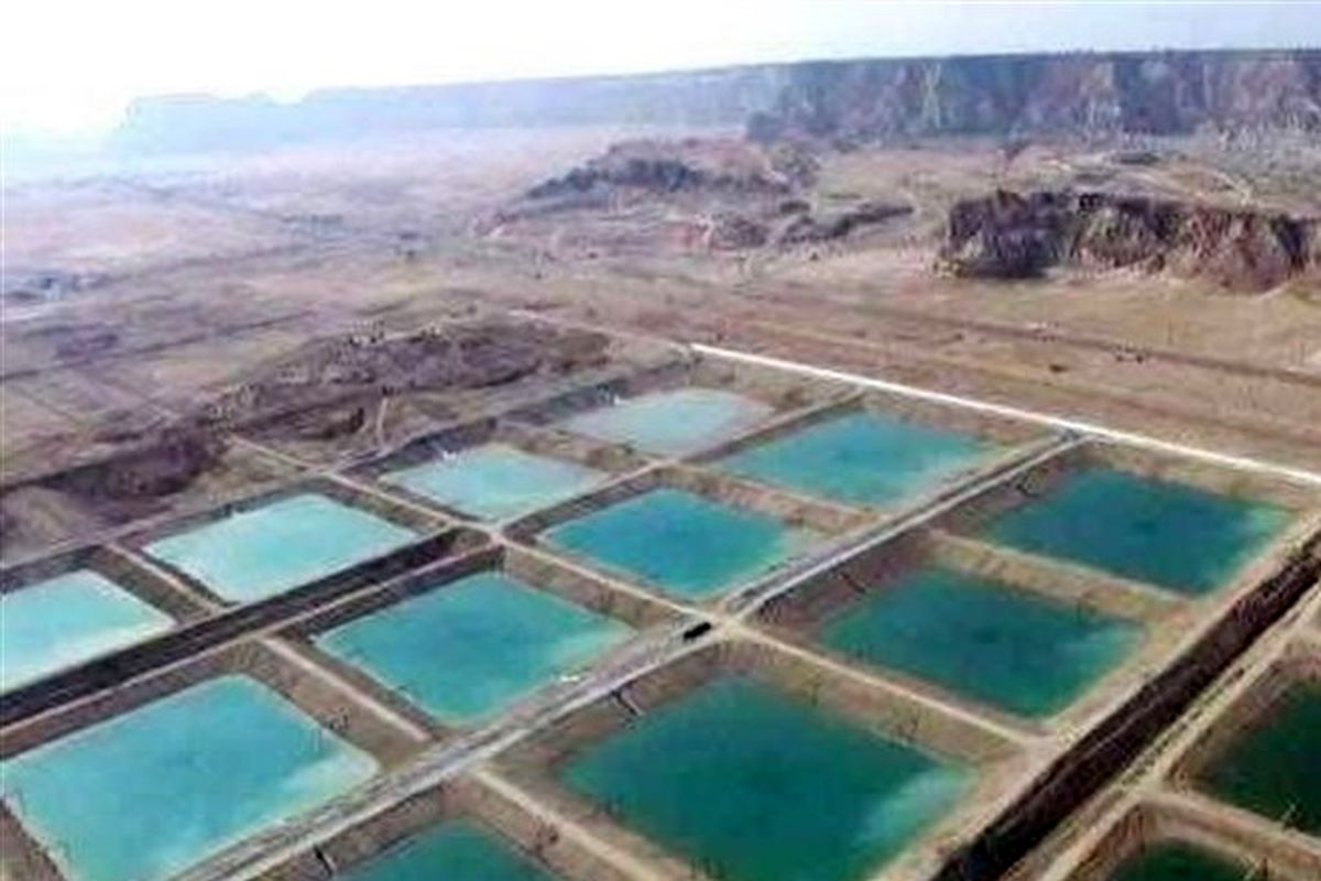 شیلات هرمزگان