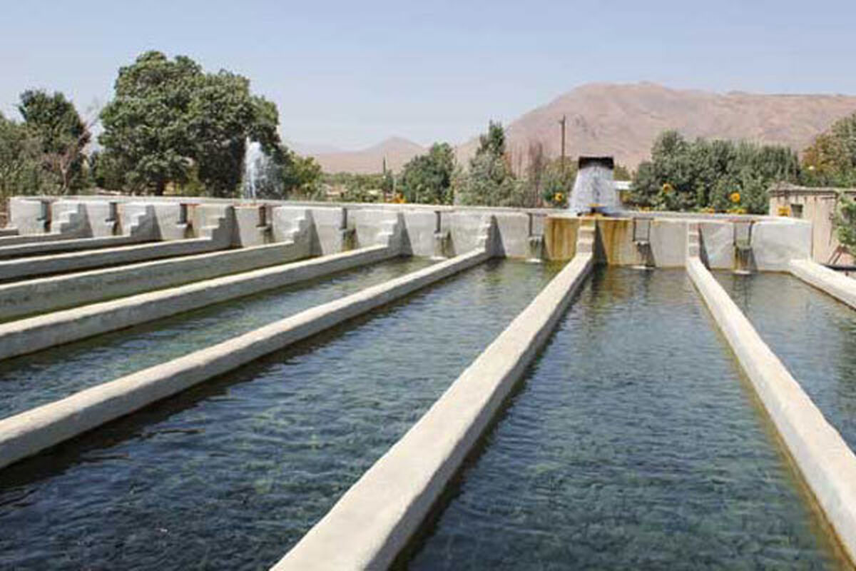 پرورش ماهی