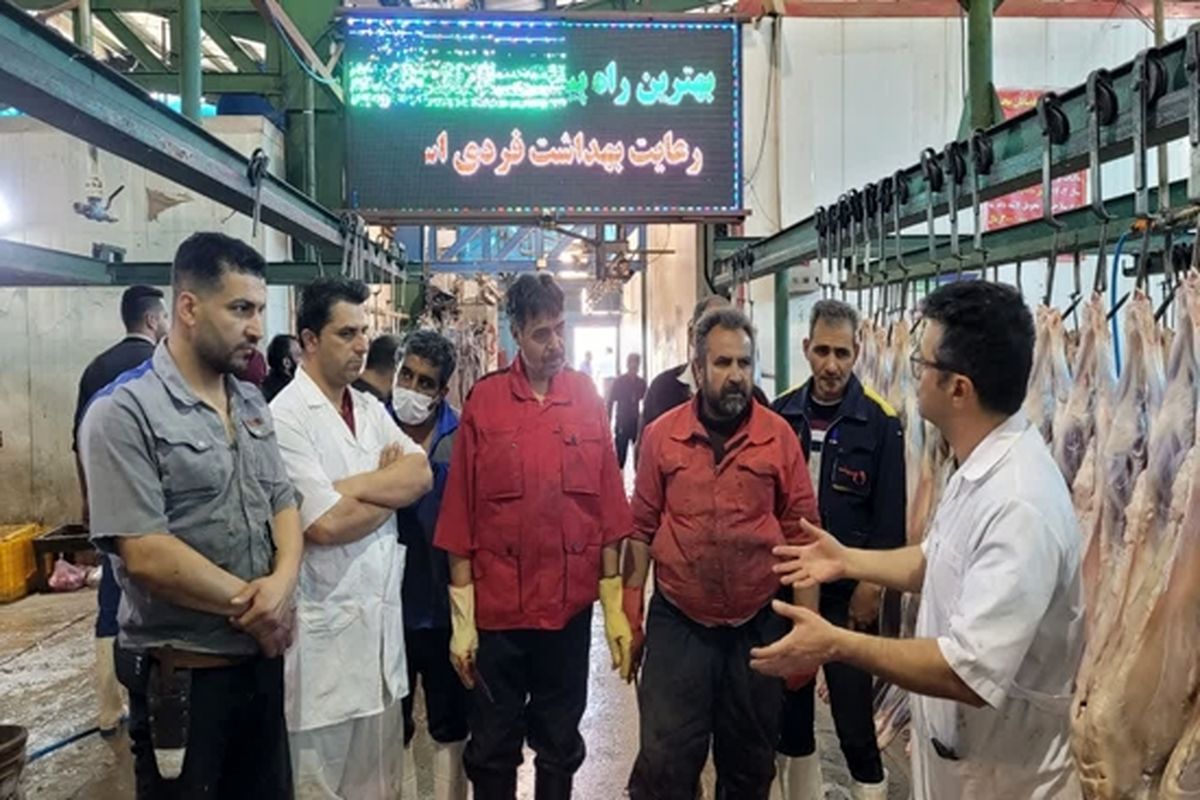 کنگو کشتارگاه_2