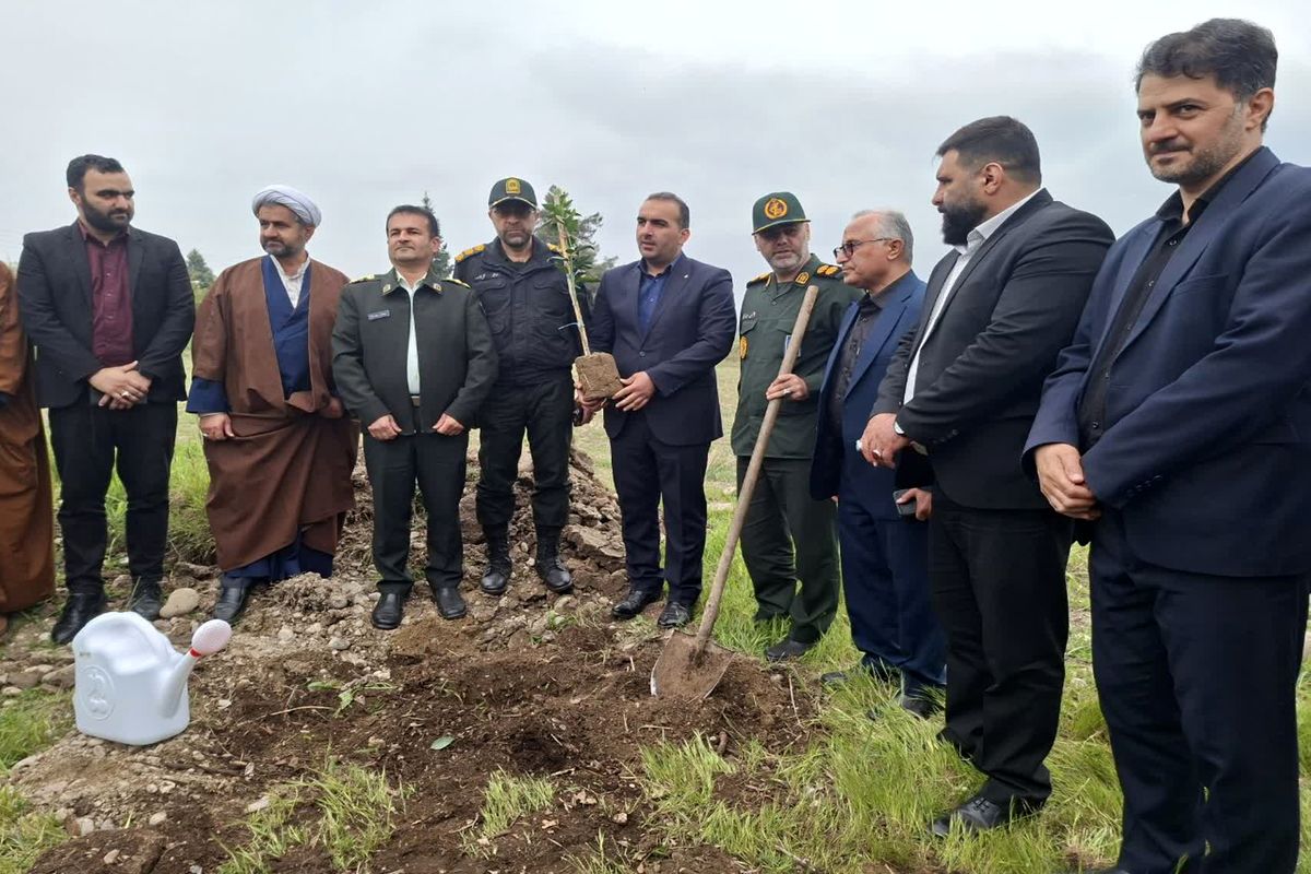 کاشت نهال  در نکاچوب