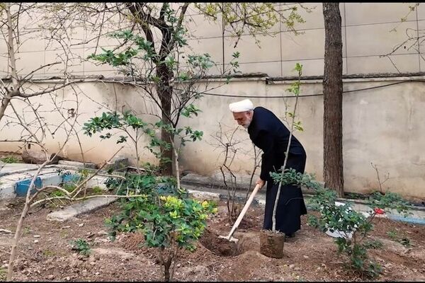 محسنی اژه‌ای یک اصله نهال غرس کرد