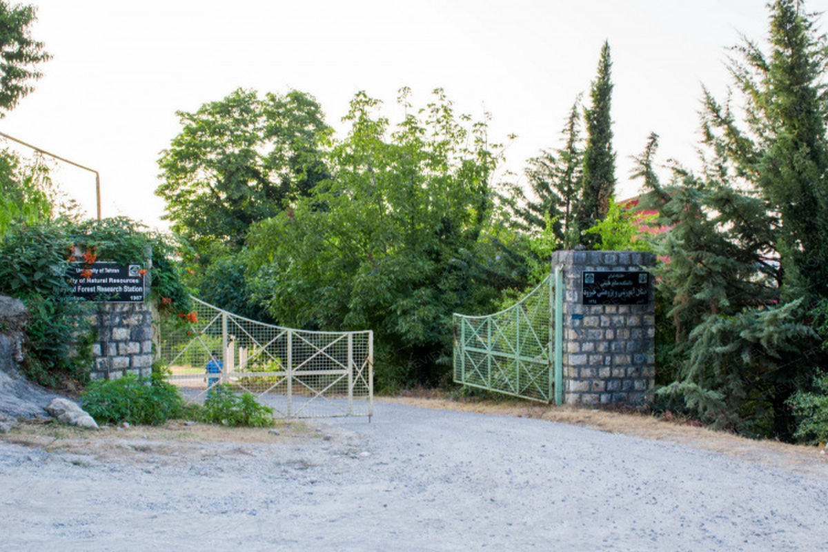 دانشکده منابع طبیعی دانشگاه تهران 