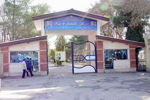 ما فقط خوب بلدیم " بنشینیم"