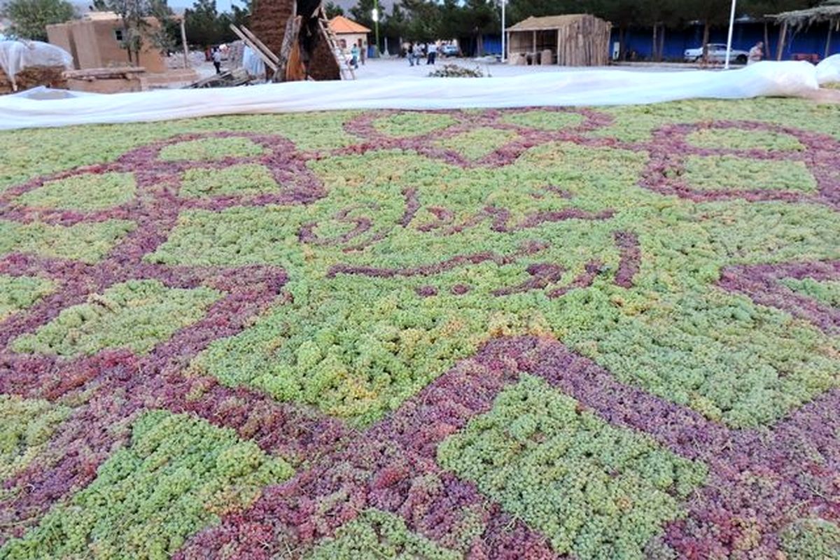 جشنواره انگور