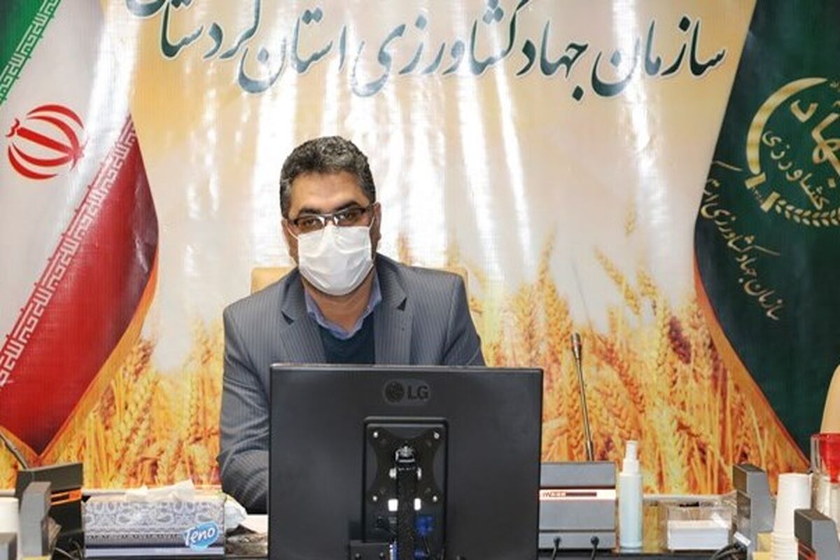 پیمان اسکندری