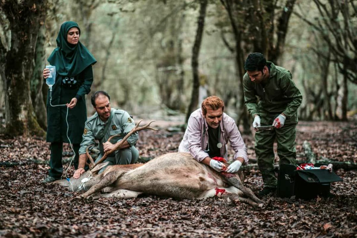 مجموعه تلویزیونی خانواده دکتر ماهان