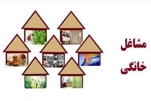 امسال تسهیلات مشاغل خانگی ۳۳ درصد افزایش می‌یابد 