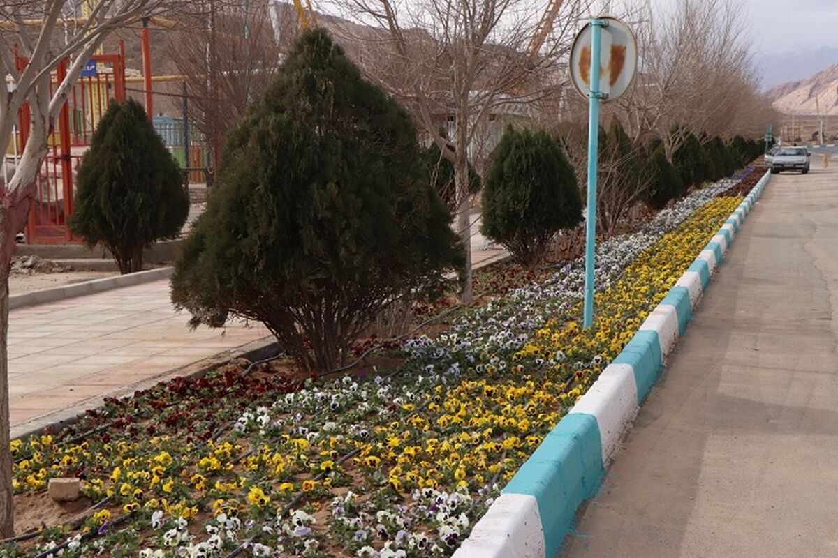 پارک کوهستان یزد