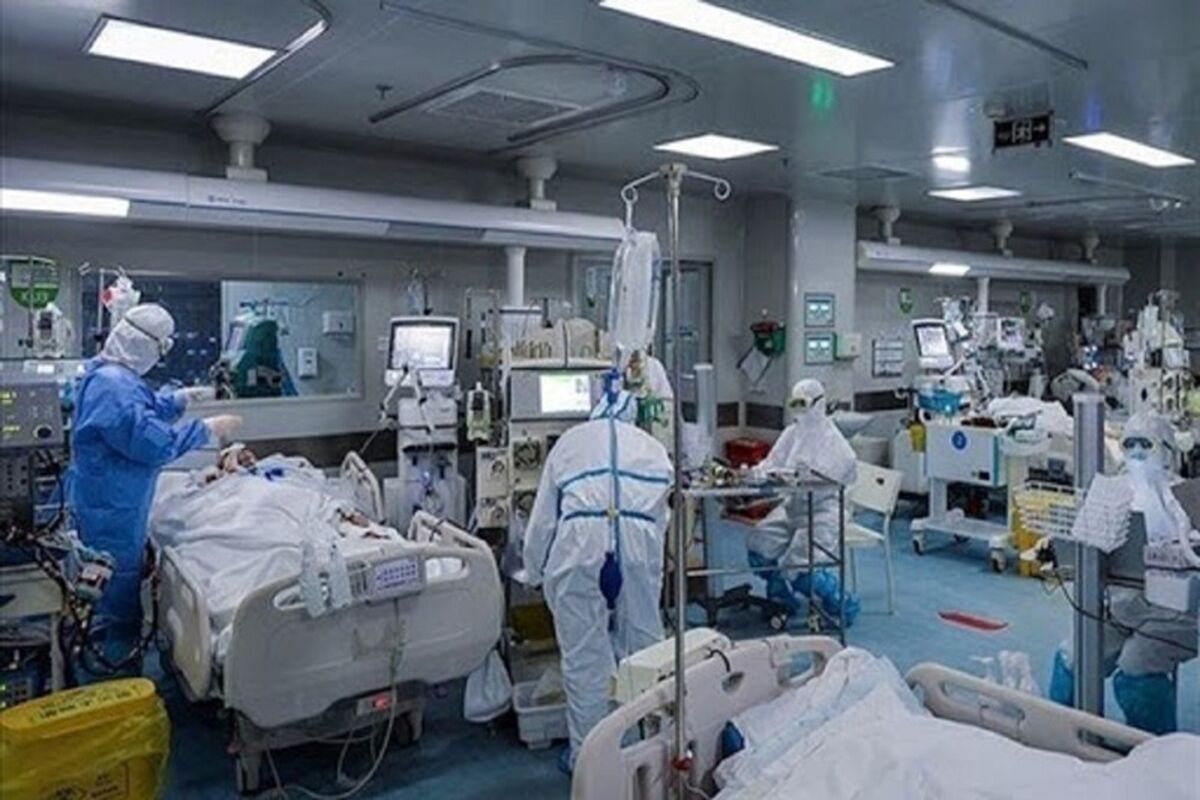 بخش+کرونا
