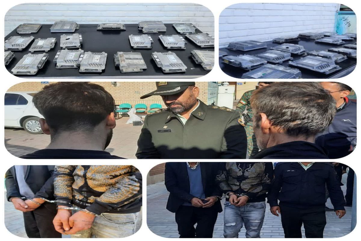 دستگیری سارق