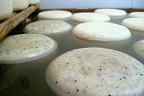 تولید کنسانتره پروتئینی از آب‌ پنیر با سامانه محققان کشور