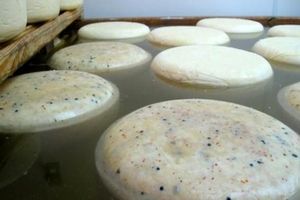 تولید کنسانتره پروتئینی از آب‌ پنیر با سامانه محققان کشور