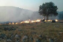 پنج هکتار از منابع طبیعی گلستان طعمه حریق شد