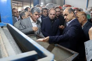 افزایش تولید برنج و پرداخت مطالبات چایکاران