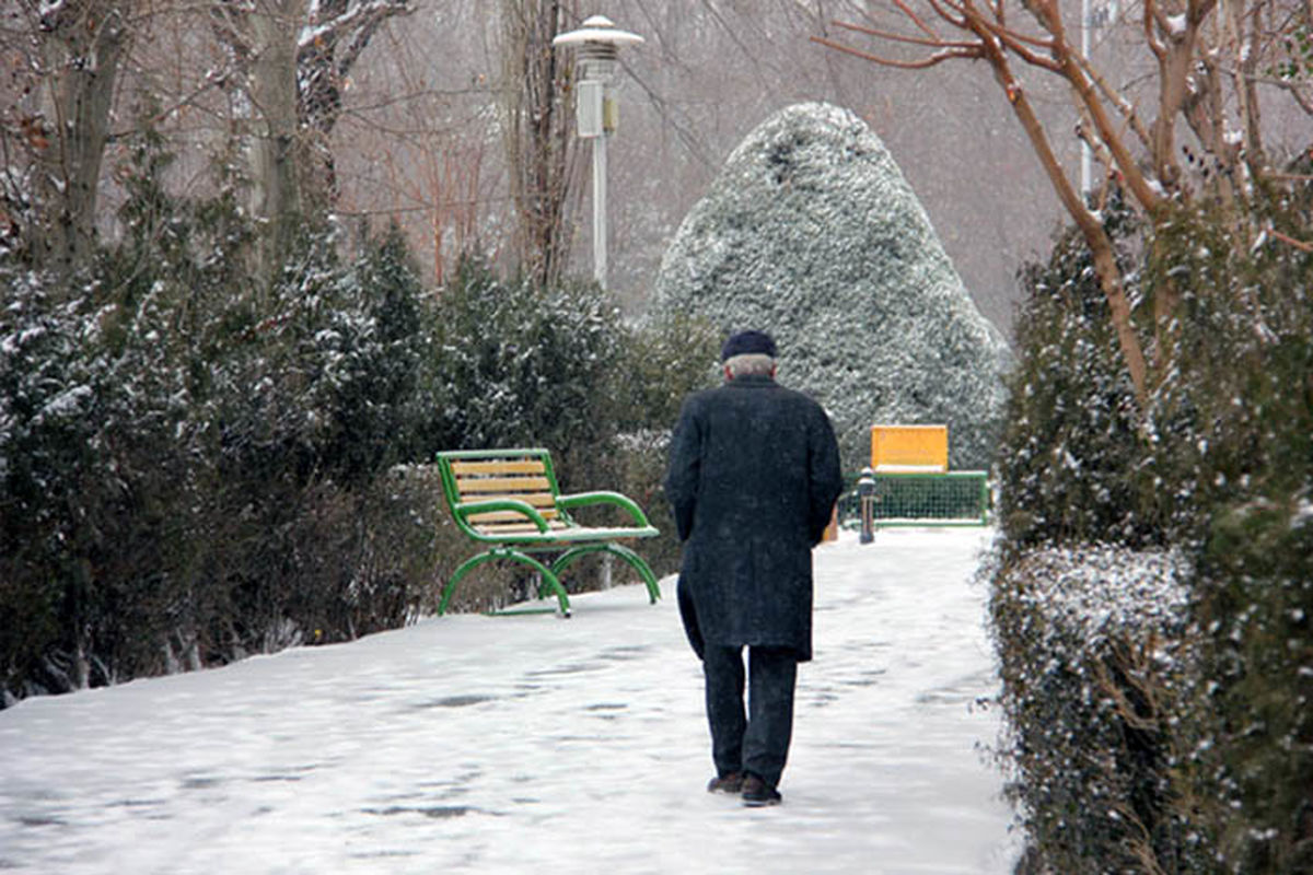 پارک شهر تهران