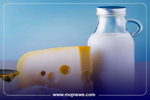 اینفوگرافیک/لبنیات در یک سال گذشته، چقدر گران شده است؟