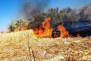 سوزاندن کاه و کلش و پسماند؛ تهدیدی برای محیط زیست کوثر