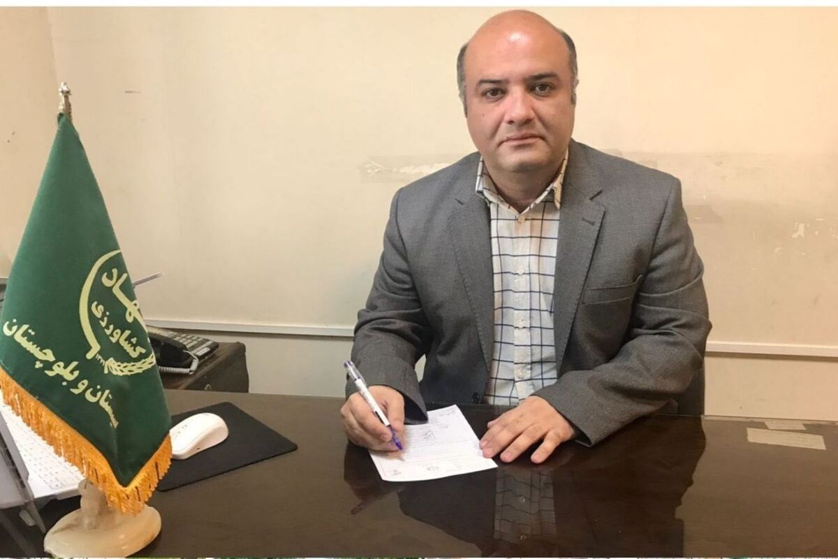 فیاضی