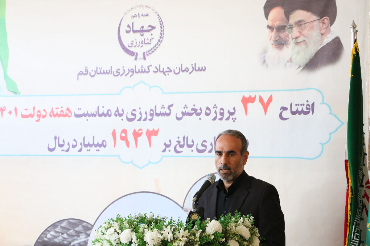  حاجی رضا