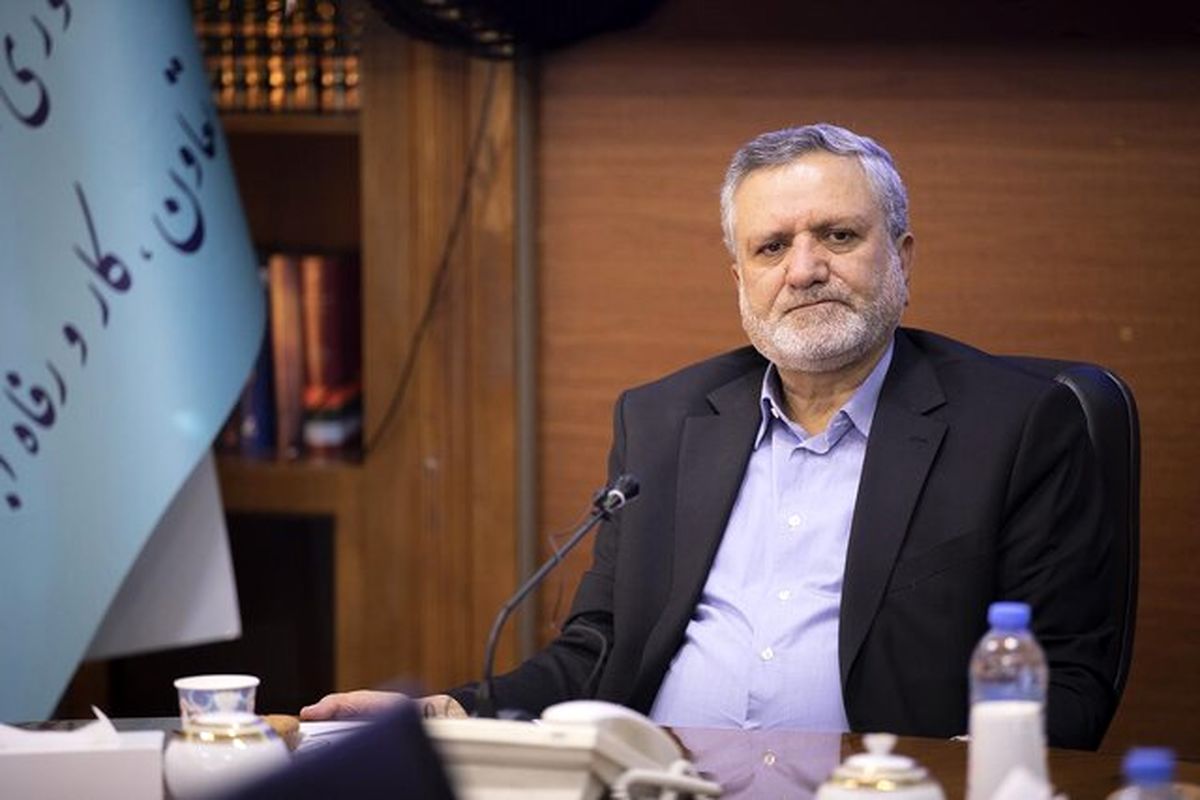 صولت مرتضوی وزیر تعاون، کار و رفاه اجتماعی وزیر کار