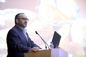 بانک سپه در کنار صنعت آرد کشور خواهد بود/ سرمایه‌گذاری 12 میلیارد دلاری بانک سپه در صنایع کشور