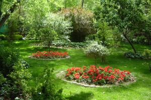 افزایش ۲۰۰ هکتاری فضای سبز در کلانشهر اصفهان