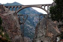 نمایی متفاوت از پل ورسک در هوای مه آلود سوادکوه + فیلم