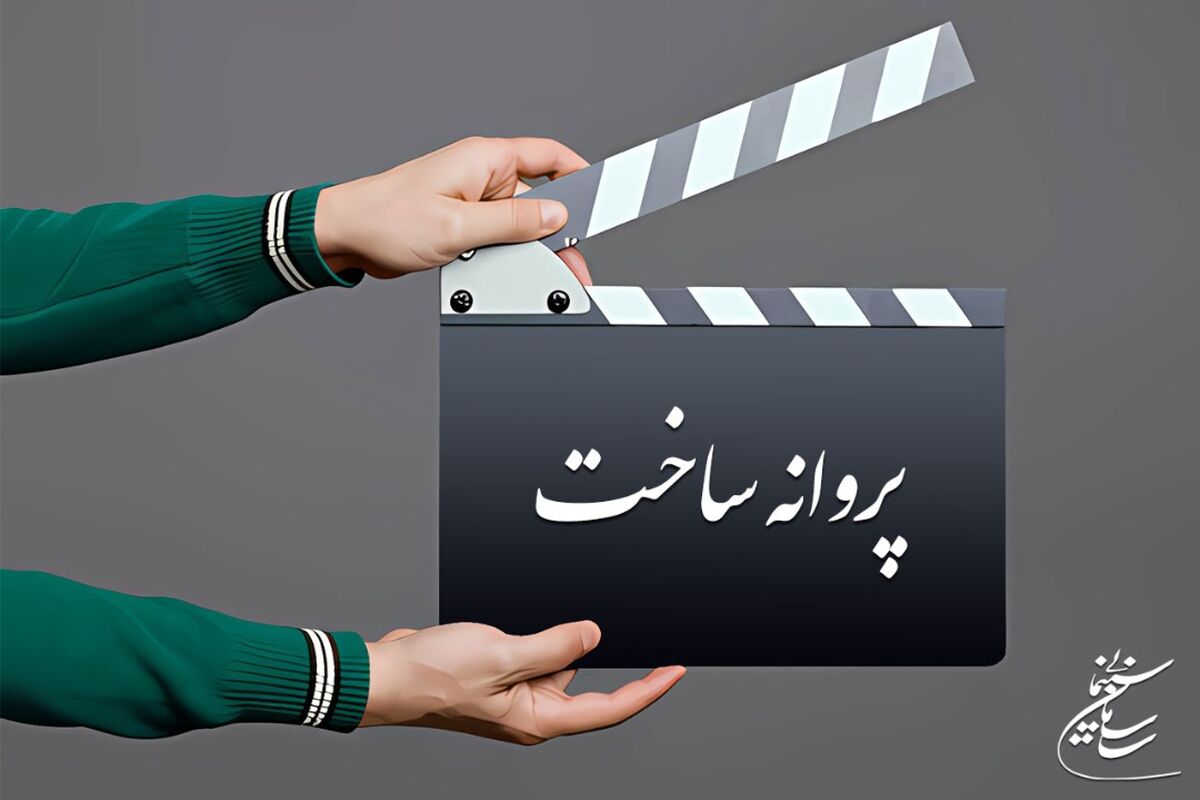 سازمان سینمایی