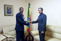 رایزنی مقامات ایران و اتیوپی در ارتباط با گسترش همکاری‌ها در حوزه پزشکی