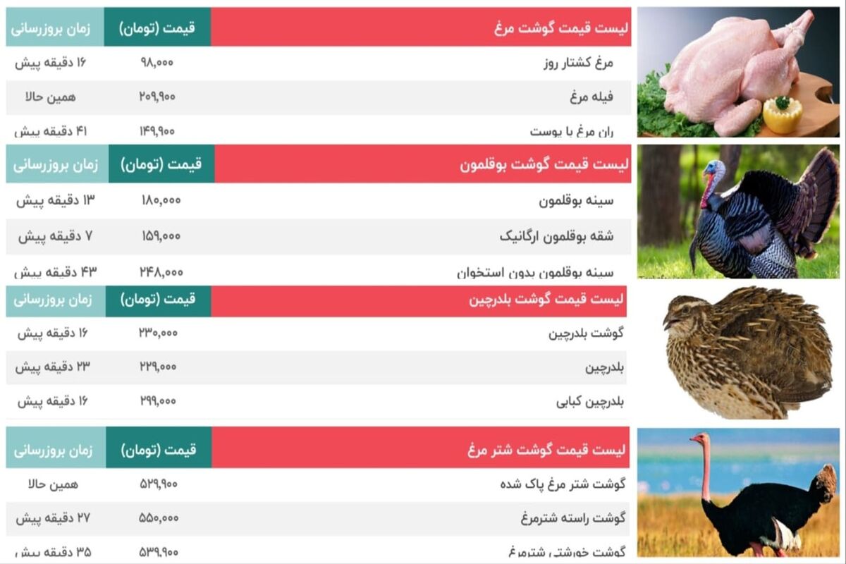 مرغ و بوقلمون