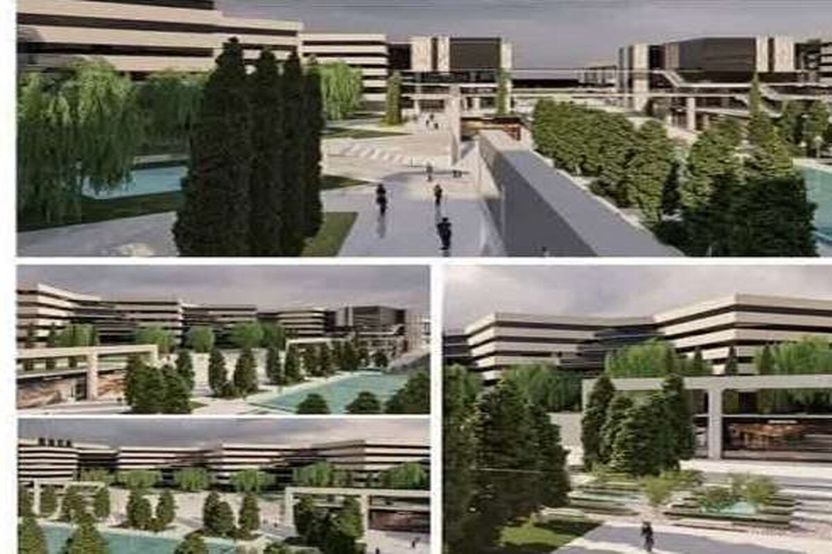 کارخانه بازناف