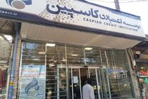آغاز تعیین تکلیف سپرده‌های تا۱۰۰میلیون تعاونی فرشتگان از ۲۴ تیر