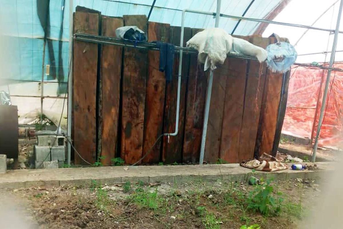 قاچاق چوب در نوشهر 