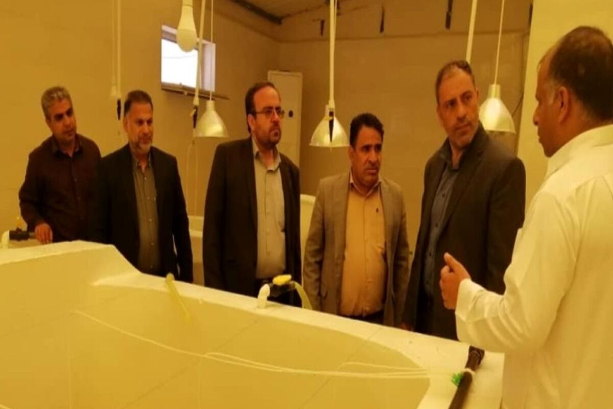 میگو