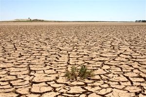 ۶ میلیارد تومان اعتبار برای مقابله با بیابان‌زایی در استان گلستان تصویب شد