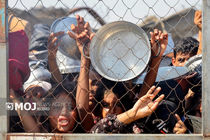 رئیس کمیته بین‌المللی نجات از مرگ  ساکنان غزه  بر اثر گرسنگی خبر داد